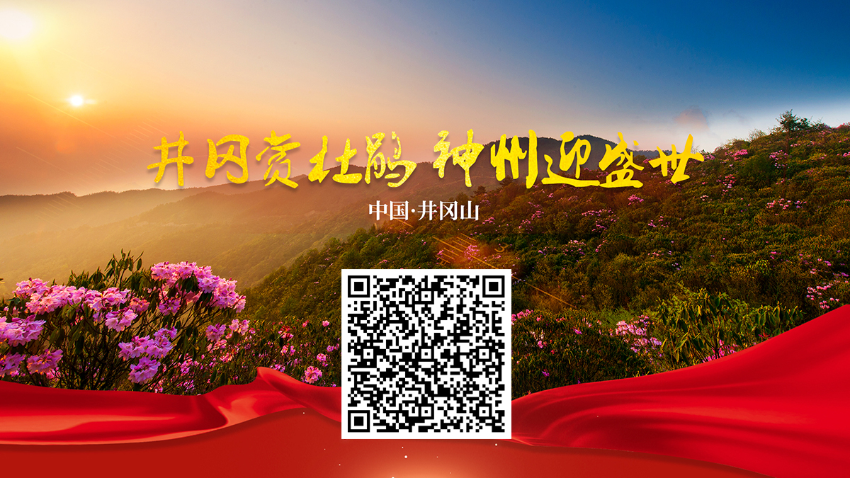 云上杜鹃花节VR全景展厅