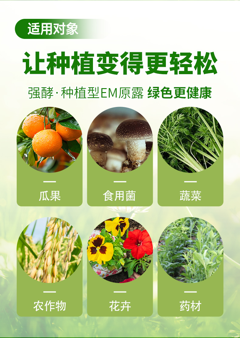 種植_12.jpg