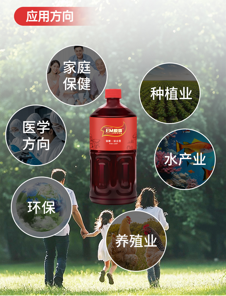 綜合_11.jpg