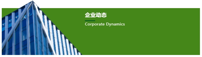 企业动态.png