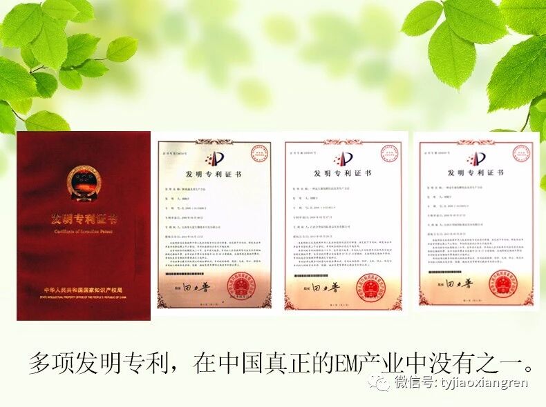 57fd8ce67fc56ae99a9ee0e342f09a78.jpg 57fd8ce67fc56ae99a9ee0e342f09a78.jpg