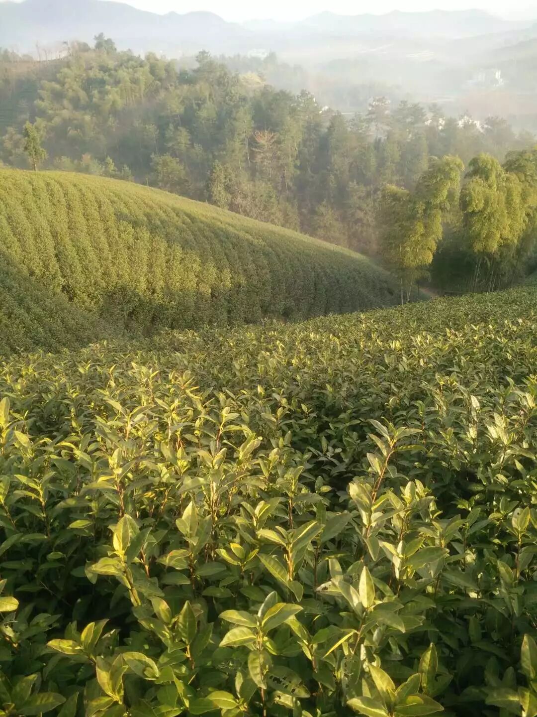 5e1661ce04084b7827d4bc58016ed983.jpg 5e1661ce04084b7827d4bc58016ed983.jpg