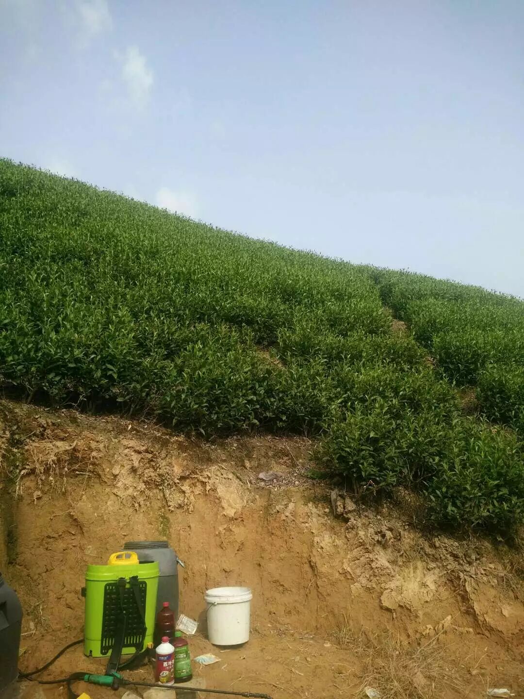 9783d516e54913a187ea8b9b64887043.jpg 9783d516e54913a187ea8b9b64887043.jpg