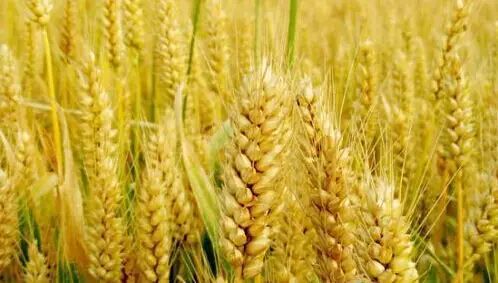 c26f777da548cb6871e7b1647183ddd7.jpg c26f777da548cb6871e7b1647183ddd7.jpg