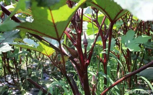 16d624fa-6a2d-4ef3-9597-00ae1880c7b4.jpg 16d624fa-6a2d-4ef3-9597-00ae1880c7b4.jpg