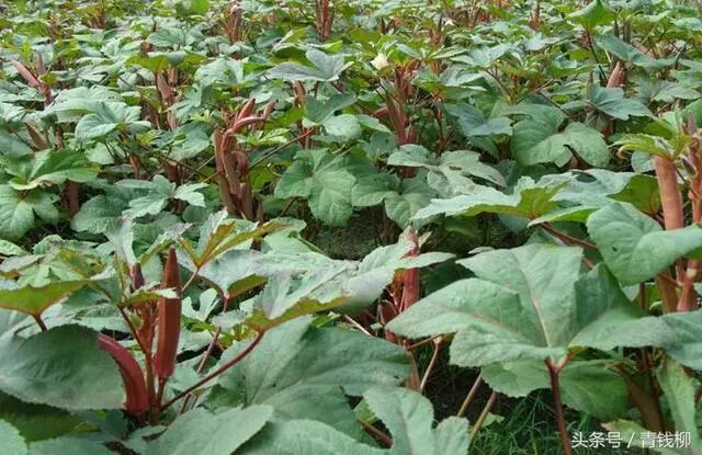 af467522-427a-4ada-9373-2c0d2c020def.jpg af467522-427a-4ada-9373-2c0d2c020def.jpg