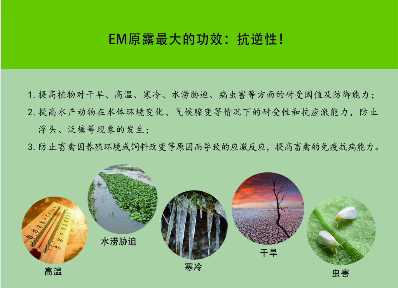 e21910d571a727e4b52a296d5a8cfd4d.jpg e21910d571a727e4b52a296d5a8cfd4d.jpg