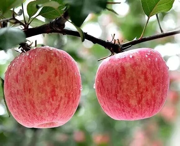 0d864d05-c62e-465d-bca7-773f19962cab.jpg 0d864d05-c62e-465d-bca7-773f19962cab.jpg