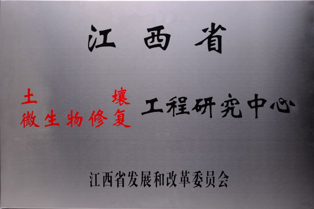8393a498-8122-48b7-a49c-4cf46c1a79e9.jpg