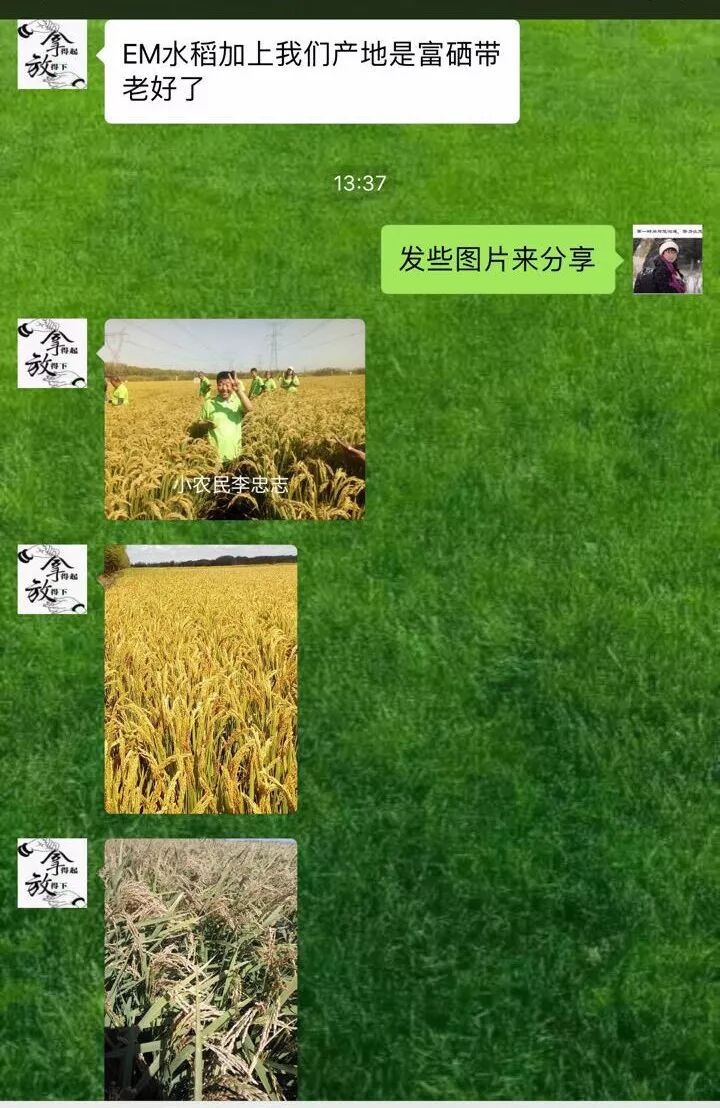 bd5fac54-80ac-4a96-82e2-4c9cd667fe72.jpg