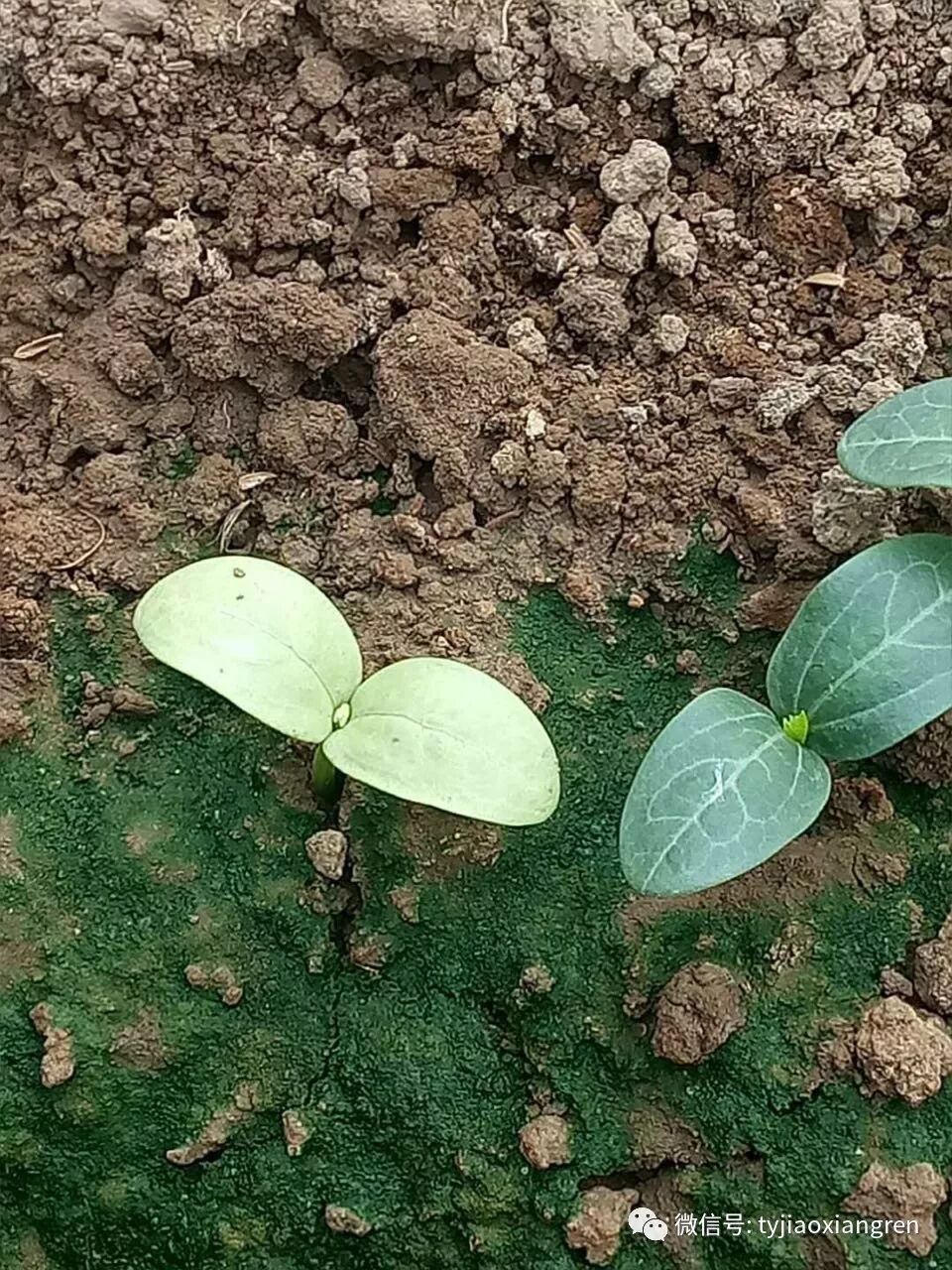 7e6eaae3-67dd-4625-a879-d5ccd50d2c9c.jpg 7e6eaae3-67dd-4625-a879-d5ccd50d2c9c.jpg