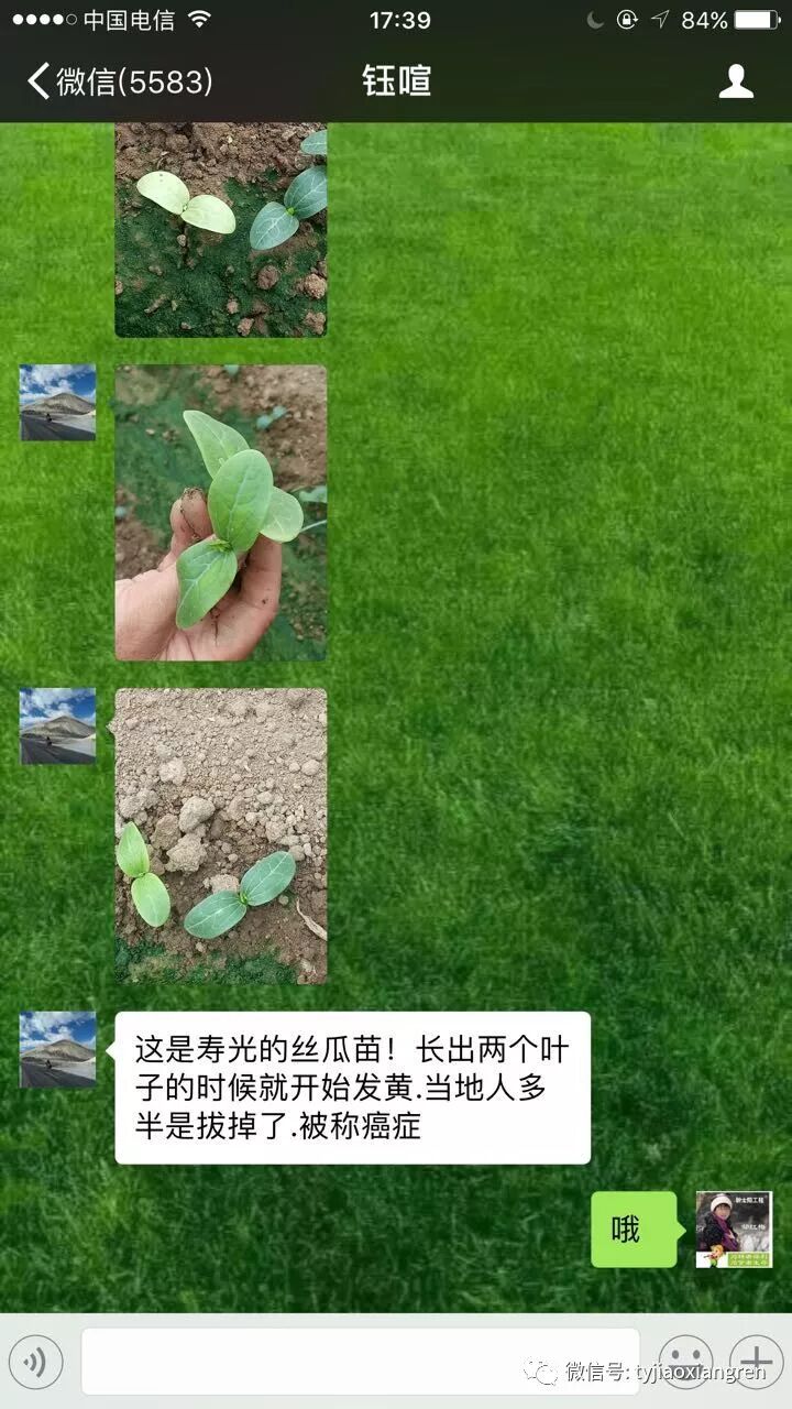 5905f975-466d-4f68-8267-dc9a9715cf00.jpg 5905f975-466d-4f68-8267-dc9a9715cf00.jpg