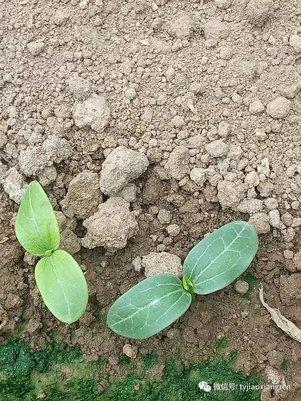 df8b52a1-1bcd-4311-98af-112cc1253ddc.jpg df8b52a1-1bcd-4311-98af-112cc1253ddc.jpg