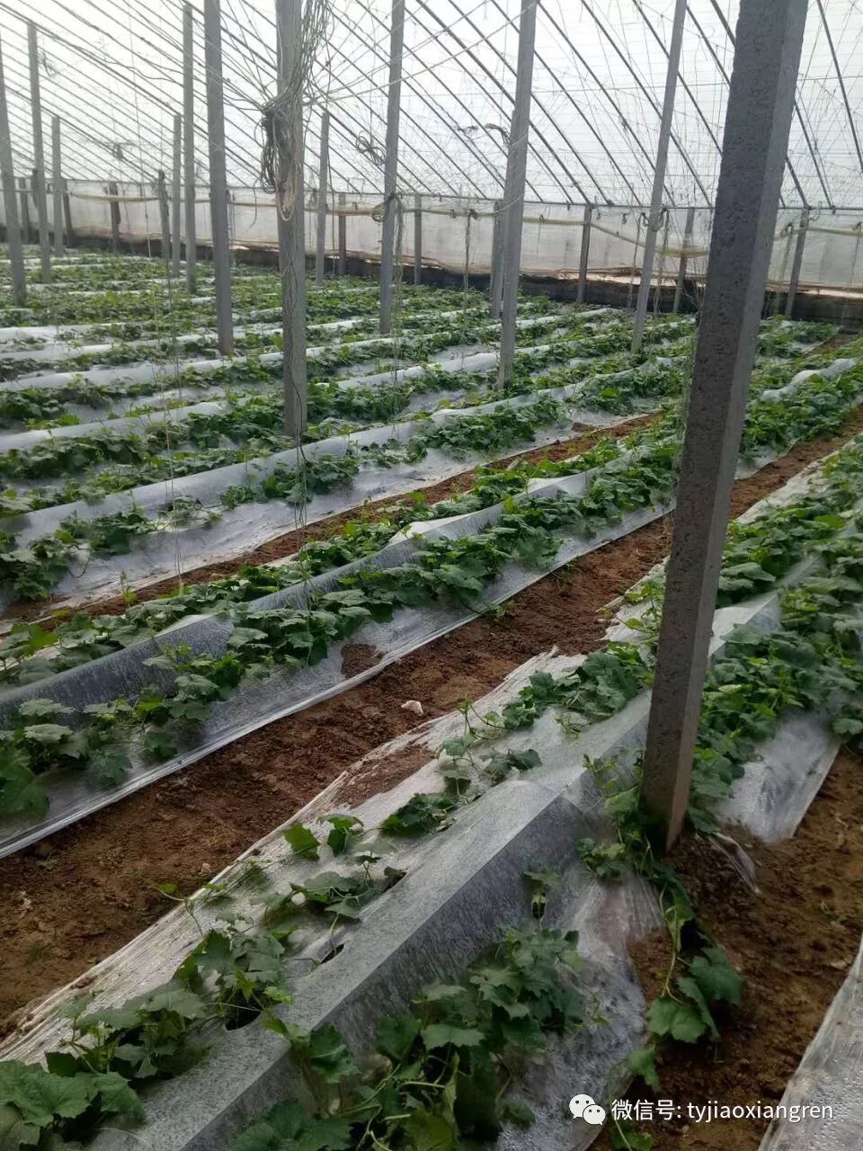 13cb92dc-5793-47d6-b135-be4883894802.jpg 13cb92dc-5793-47d6-b135-be4883894802.jpg