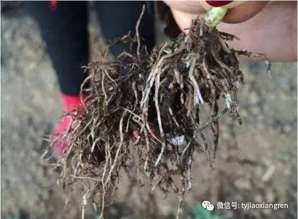 f5fd5de8-d281-41f8-9c69-0dcbfecac13c.jpg f5fd5de8-d281-41f8-9c69-0dcbfecac13c.jpg