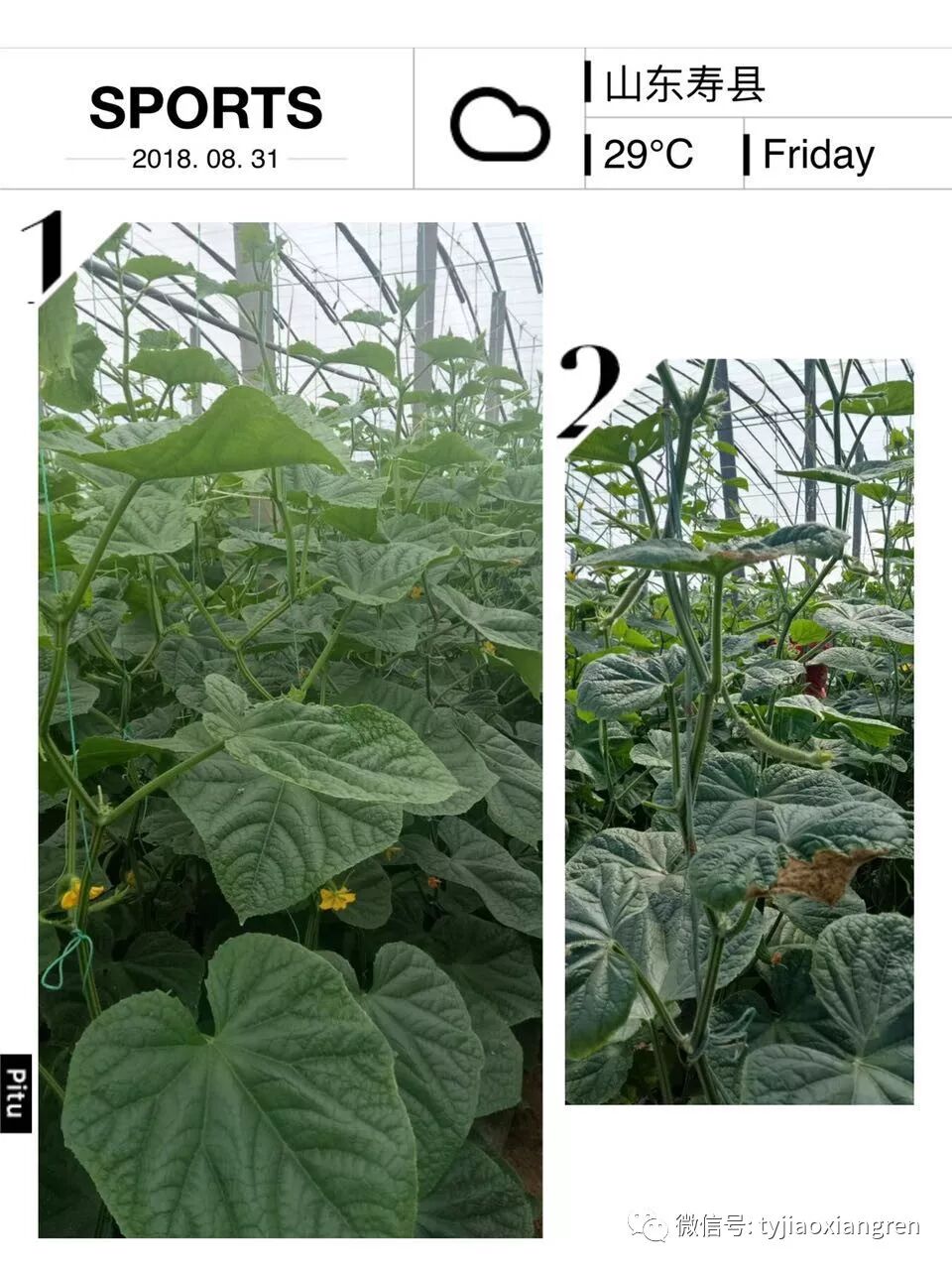 288d8e0f-ebb2-4845-bd9b-9265720a9ab0.jpg 288d8e0f-ebb2-4845-bd9b-9265720a9ab0.jpg