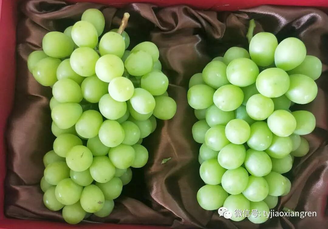 a63870dd-7603-48d3-b838-1332c87f9694.jpg a63870dd-7603-48d3-b838-1332c87f9694.jpg