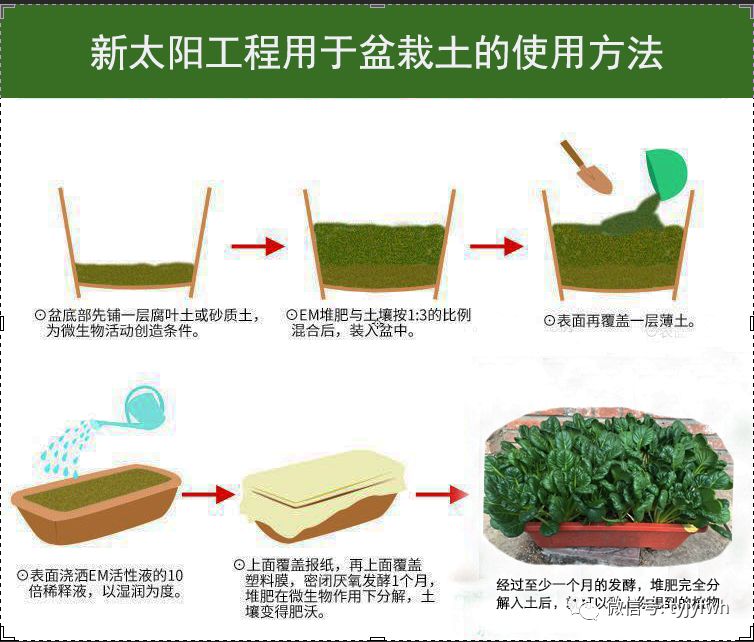 ca4ff22f-d389-420d-982d-205ee87c44fb.jpg ca4ff22f-d389-420d-982d-205ee87c44fb.jpg