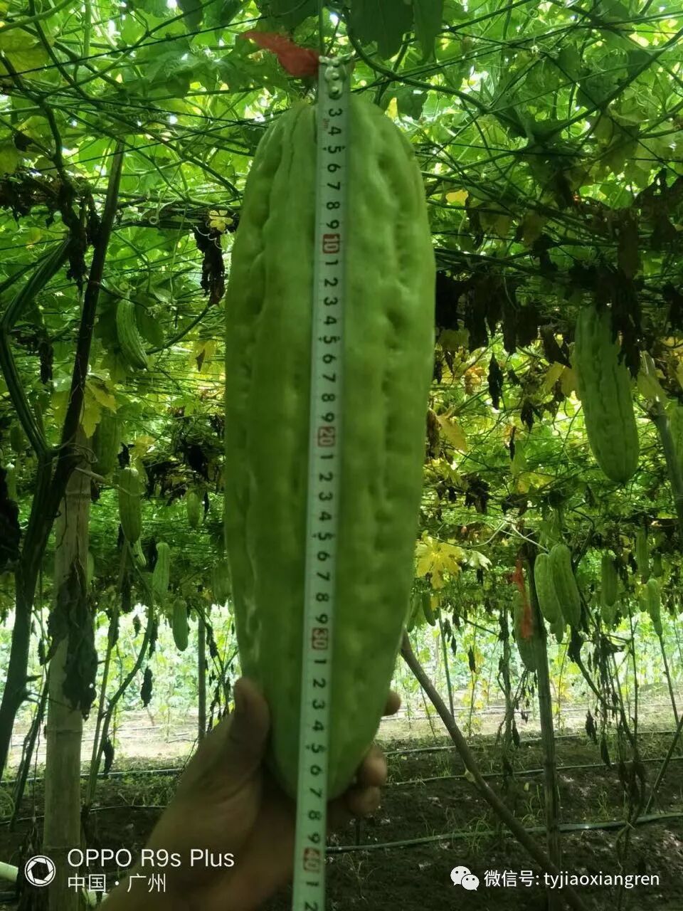 74a75efc-e9b3-4699-b12e-1021319a5c8e.jpg 74a75efc-e9b3-4699-b12e-1021319a5c8e.jpg