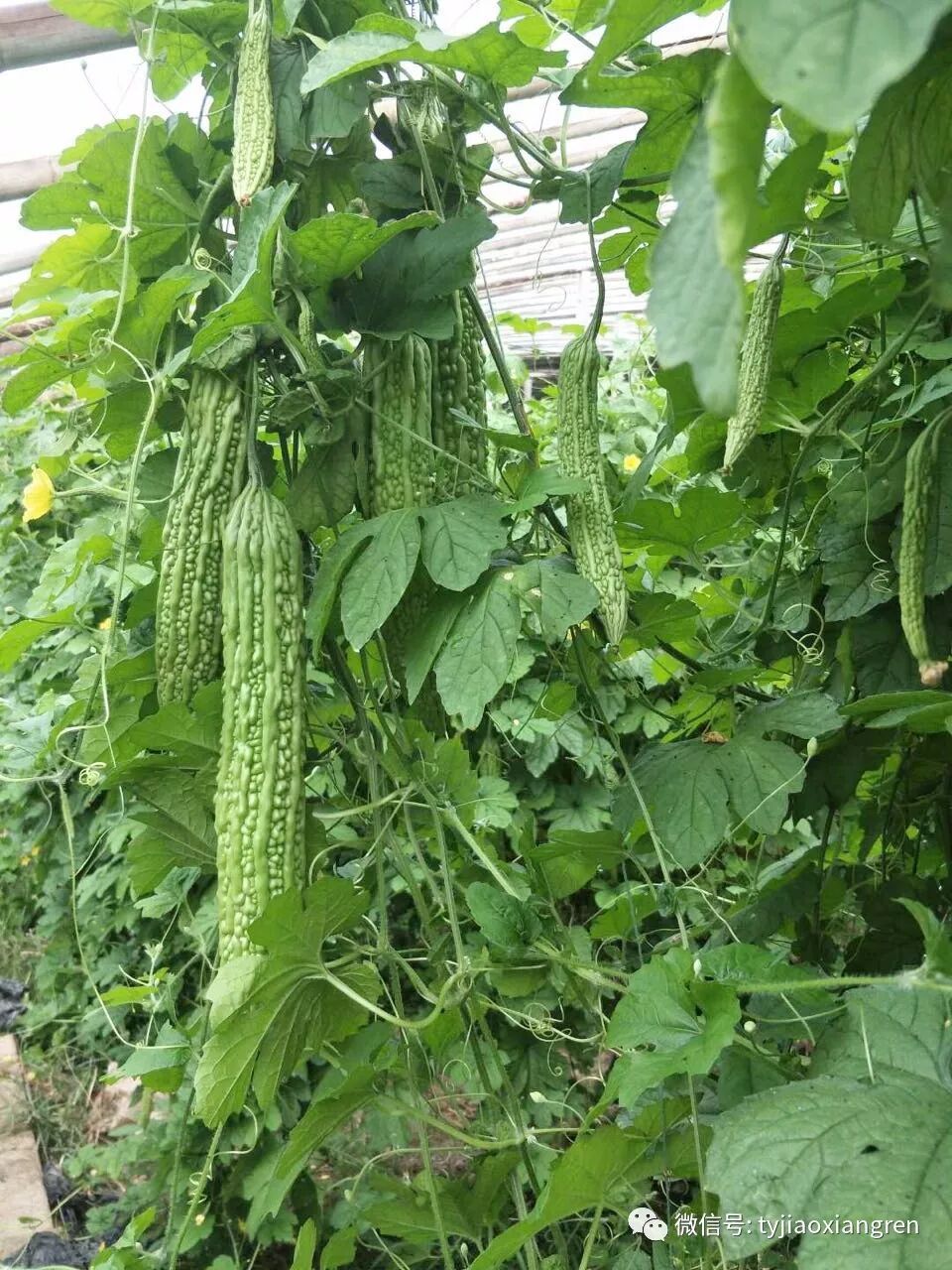 0856ae56-f120-4c98-bf6d-d2ed2bb47033.jpg 0856ae56-f120-4c98-bf6d-d2ed2bb47033.jpg