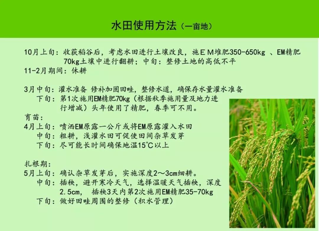 951c3e4c-62aa-4aa5-af95-c9133400d048.jpg