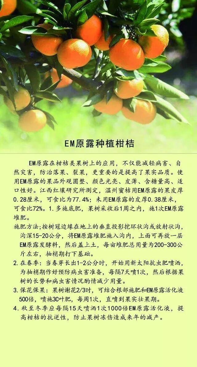 012da091-181e-4a8f-9504-785976eff947.jpg 012da091-181e-4a8f-9504-785976eff947.jpg