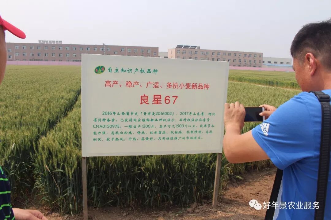 24167fe6-95f5-418b-9f1a-bc82da041514.jpg