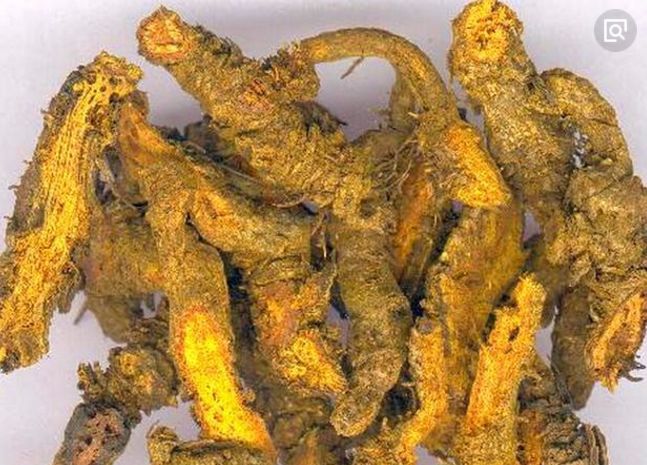 ff161192-600d-444d-bada-5de8ffb7e361.jpg ff161192-600d-444d-bada-5de8ffb7e361.jpg