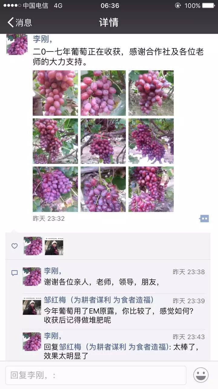 ccfddc9c-e5b5-4f47-b217-900d86758717.jpg