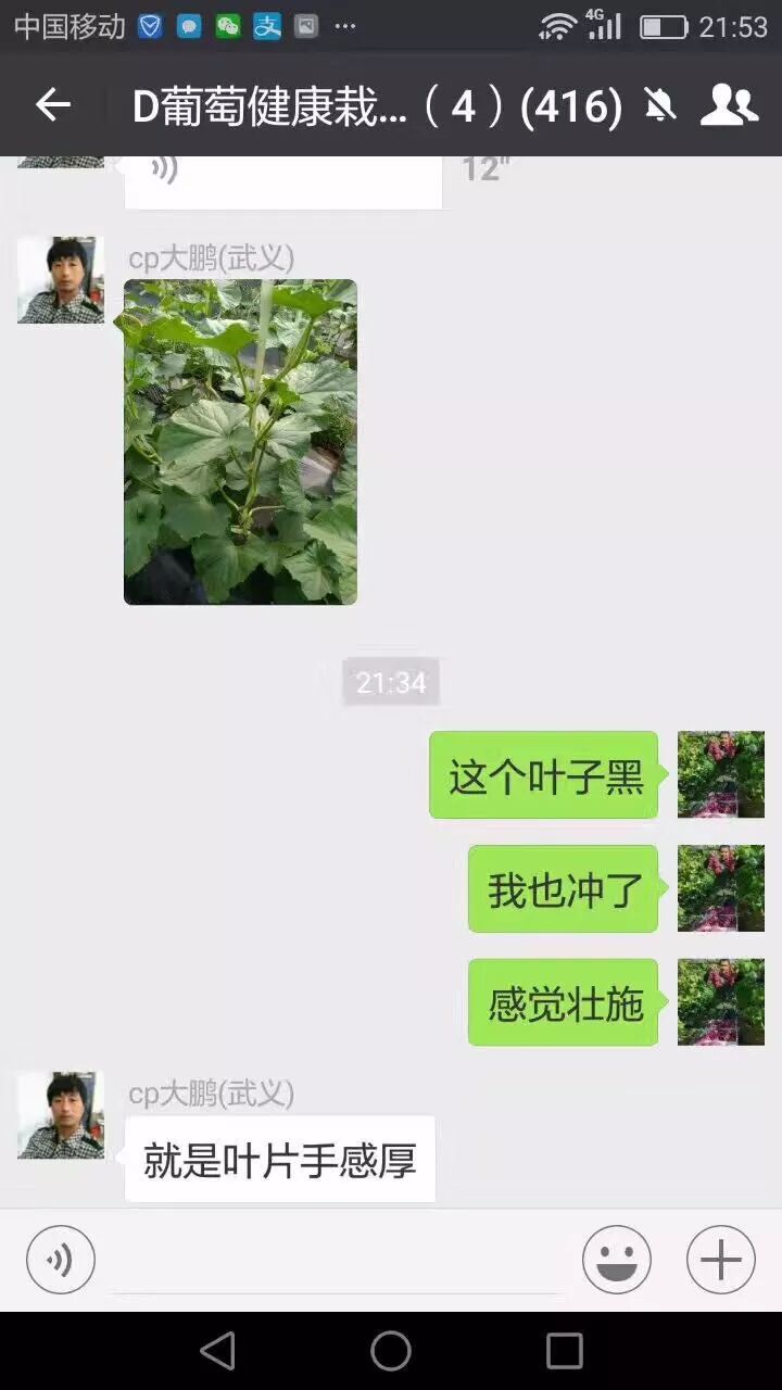 35cf9c9b-8d5a-4781-8e3b-61092c454bec.jpg
