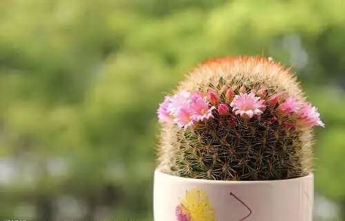 f9ea916a-ec6c-440e-adc8-4b3806de4d4d.jpg f9ea916a-ec6c-440e-adc8-4b3806de4d4d.jpg