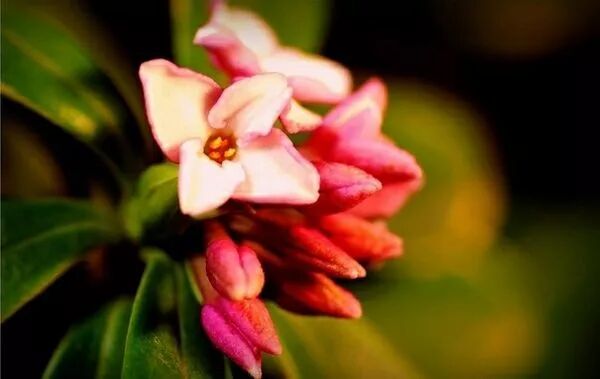 76a57db4-bda3-41d8-acff-38b4e297495c.jpg 76a57db4-bda3-41d8-acff-38b4e297495c.jpg