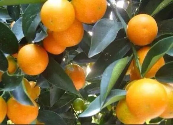 23f7d959-6c43-4291-ac52-e9870e8ce8ea.jpg 23f7d959-6c43-4291-ac52-e9870e8ce8ea.jpg