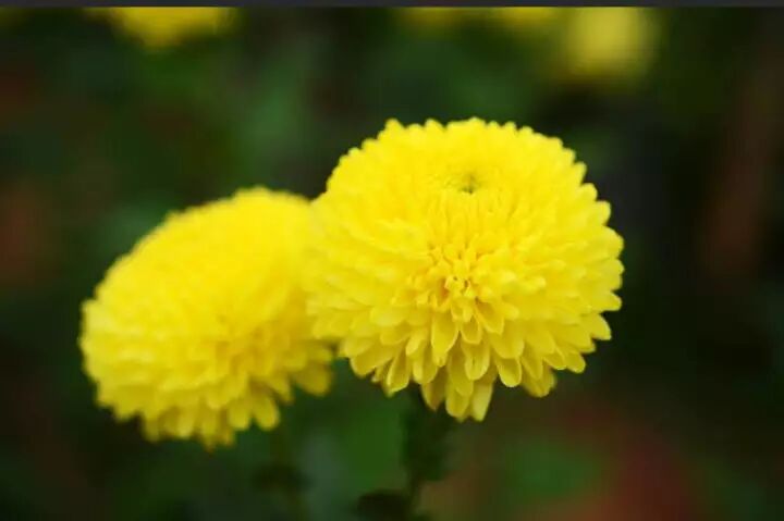 2463e0c3-a3fe-46c8-8b62-eee158d978e9.jpg 2463e0c3-a3fe-46c8-8b62-eee158d978e9.jpg