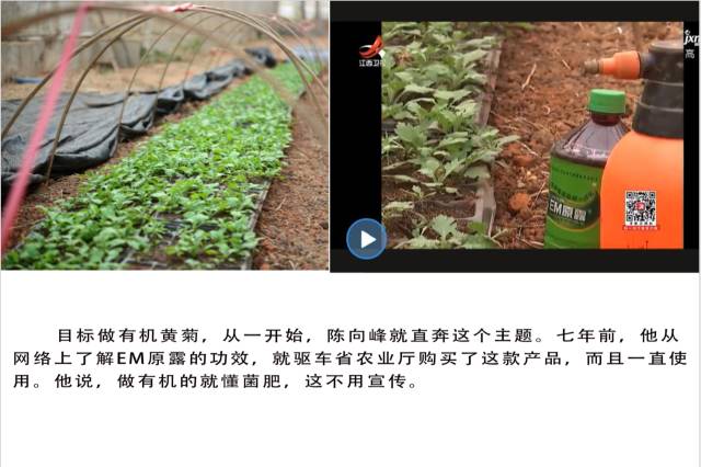 e8ac6140-162f-49b1-8166-192ff57559b4.jpg e8ac6140-162f-49b1-8166-192ff57559b4.jpg