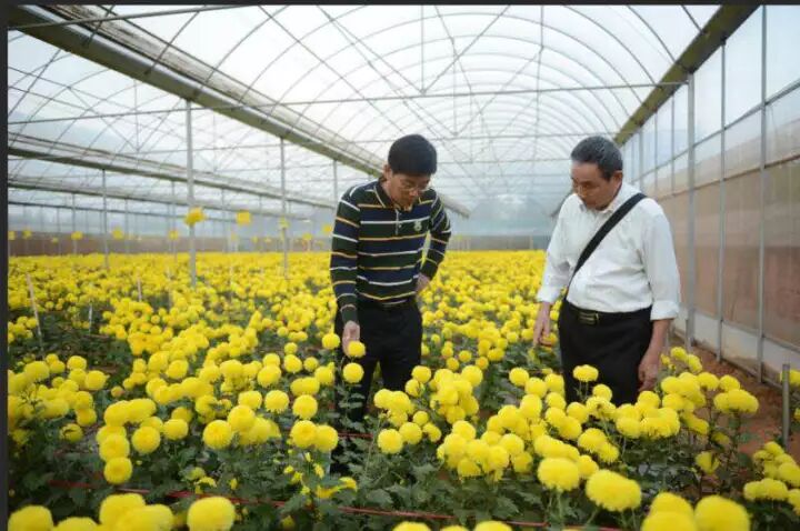 8541e47f-74f3-406a-aee9-47b4a887056f.jpg 8541e47f-74f3-406a-aee9-47b4a887056f.jpg