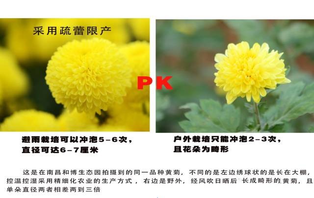 93624b5a-4144-4743-9f2d-dbf79da854e0.jpg 93624b5a-4144-4743-9f2d-dbf79da854e0.jpg