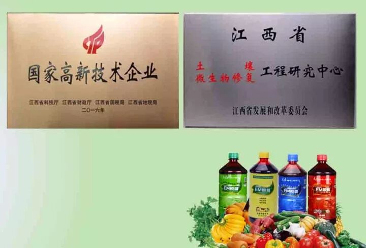 2fc68ce0-cbf5-4a9c-9f7f-166b2edceb3b.jpg 2fc68ce0-cbf5-4a9c-9f7f-166b2edceb3b.jpg