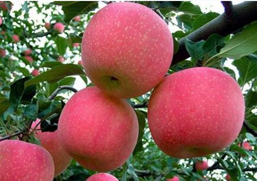 760f2845-0f9e-4b51-bbfe-aaa8285fcffb.jpg 760f2845-0f9e-4b51-bbfe-aaa8285fcffb.jpg