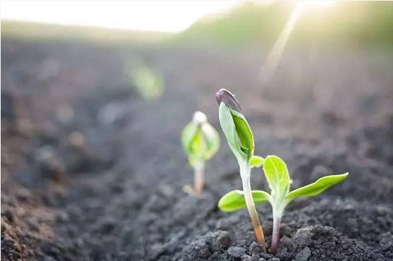 37aa8fbc-62b7-49f6-9d57-58b5ac4dcbaf.jpg 37aa8fbc-62b7-49f6-9d57-58b5ac4dcbaf.jpg