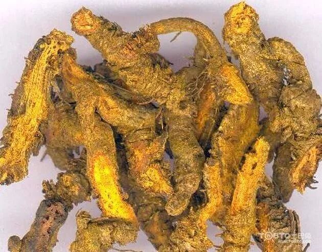 89368630-9603-4fc2-af2a-33be056ce57f.jpg 89368630-9603-4fc2-af2a-33be056ce57f.jpg