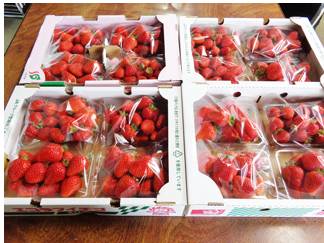 b6ce3aba-24b4-4839-8257-017b6a44f167.jpg b6ce3aba-24b4-4839-8257-017b6a44f167.jpg