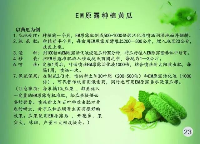 cc25c5b1-bad8-43c1-bef3-a4ba3a8f3654.jpg