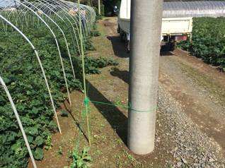 e70eb69a-343b-40a7-b502-1729136021d1.jpg e70eb69a-343b-40a7-b502-1729136021d1.jpg