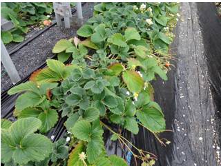 a339a482-836b-48f0-9f2a-0471573a683a.jpg a339a482-836b-48f0-9f2a-0471573a683a.jpg