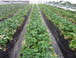 fd0c37db-589e-4e5e-b59f-aba7f5406ab5.jpg fd0c37db-589e-4e5e-b59f-aba7f5406ab5.jpg