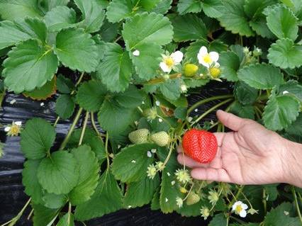 c33ac6ea-b0b6-4873-8f57-84e82ed0adb2.jpg c33ac6ea-b0b6-4873-8f57-84e82ed0adb2.jpg