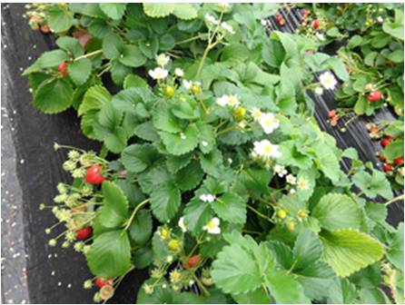 8edf8af0-8163-4b22-8397-2a03bfa49c16.jpg 8edf8af0-8163-4b22-8397-2a03bfa49c16.jpg