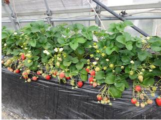 266396d4-a2a0-495c-8829-2830cf3e68e2.jpg 266396d4-a2a0-495c-8829-2830cf3e68e2.jpg