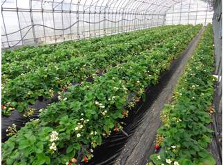 6626f54d-2be9-49b8-ac22-06e2f2fd2978.jpg 6626f54d-2be9-49b8-ac22-06e2f2fd2978.jpg